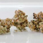 Medical Marijuana