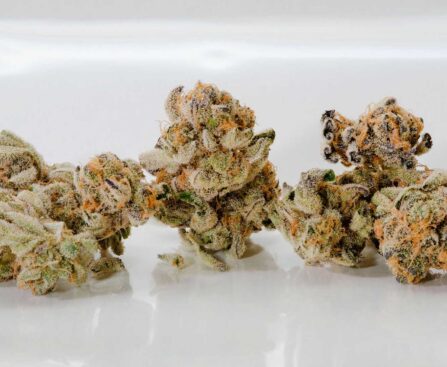 Medical Marijuana