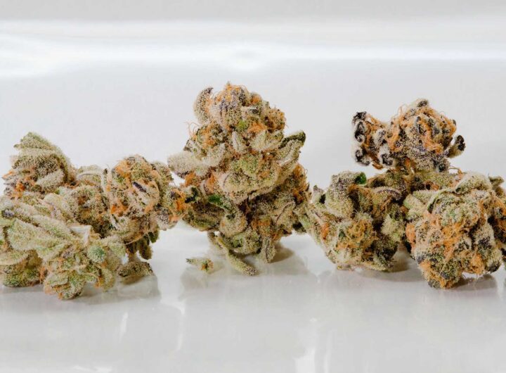 Medical Marijuana