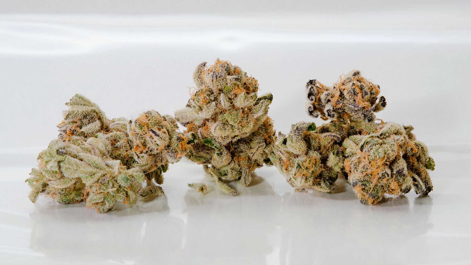 Medical Marijuana
